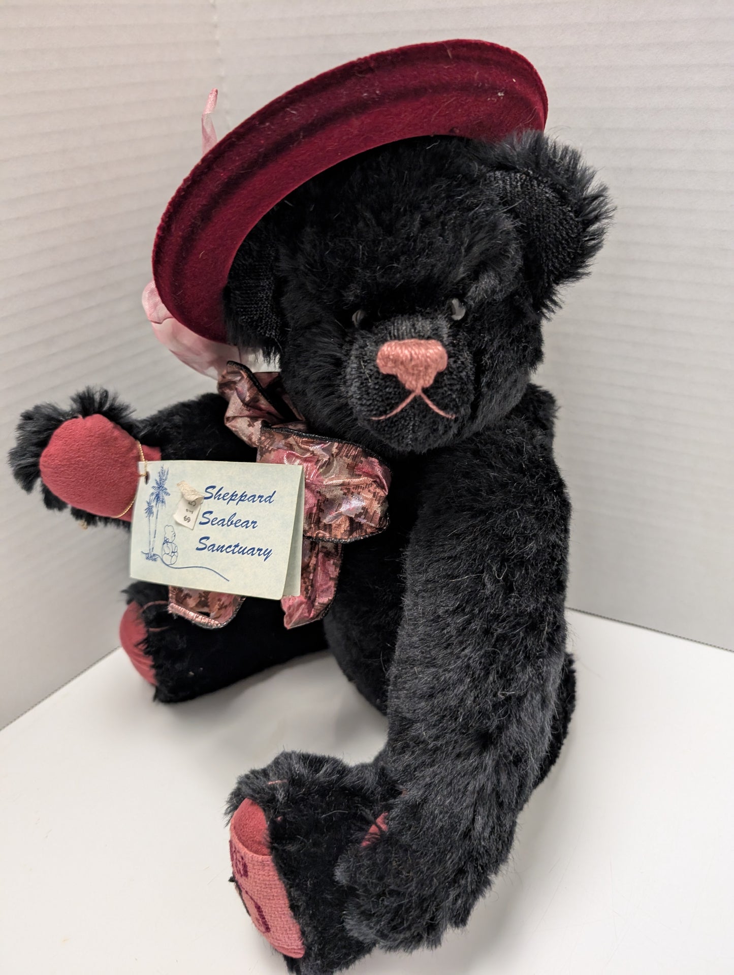 Brittainy by Kathy Sheppard from Sheppard Sea Bear Sanctuary. image 7