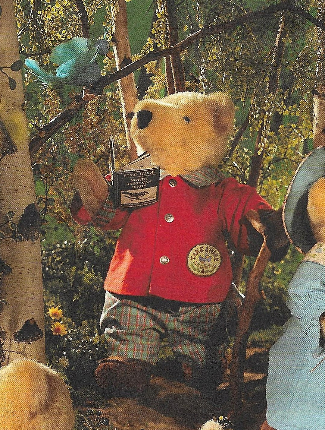 North American Take A Hike Cornelius Dressed 5536