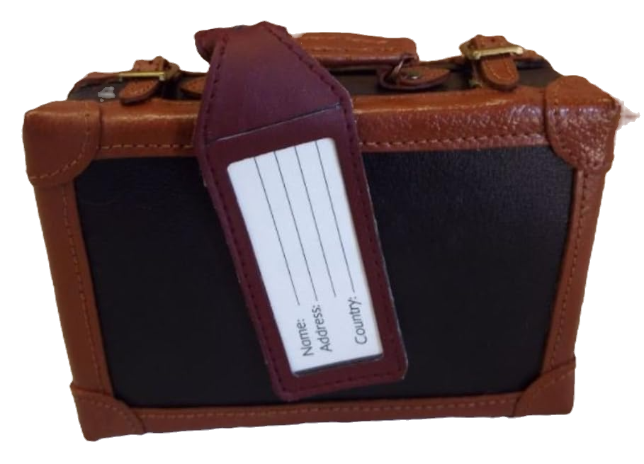 Steiff 33cm Passport Bear 665318 image 7