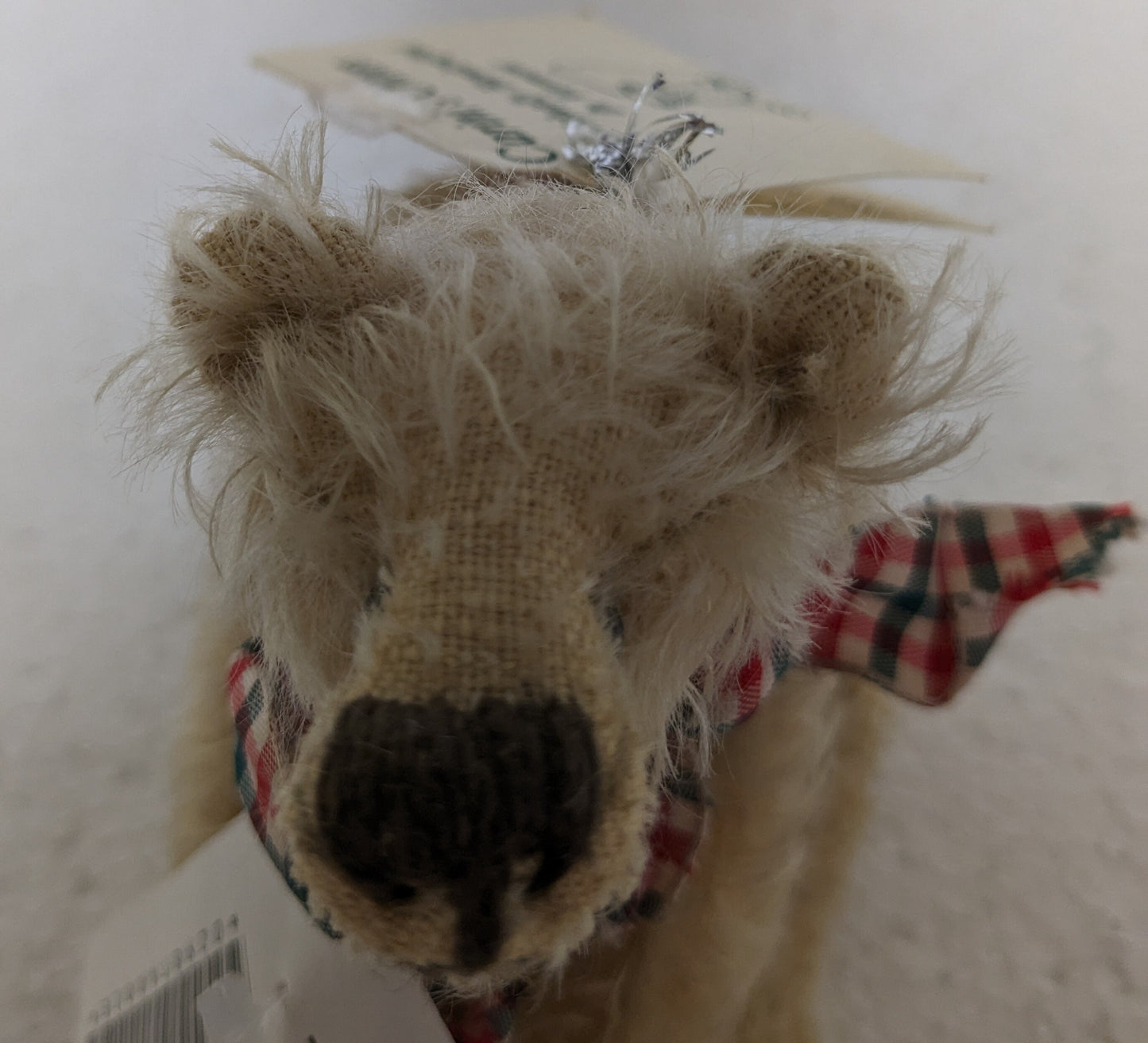 Taddie by Carol Carini image 2