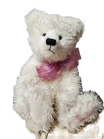 Boyds Bear Plush  JoyAnn HugsBeary  #82505 image 2