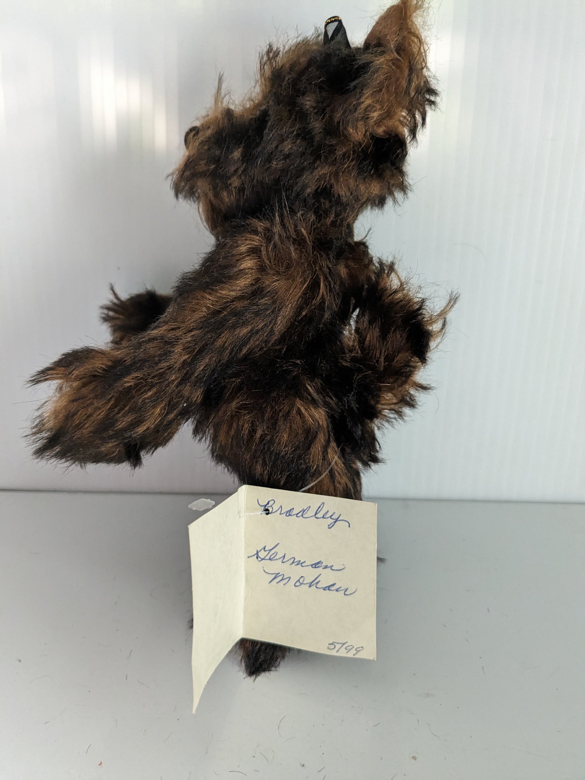 Bradley the Yorkie by Linda Nelson of Half Nelsons image 1