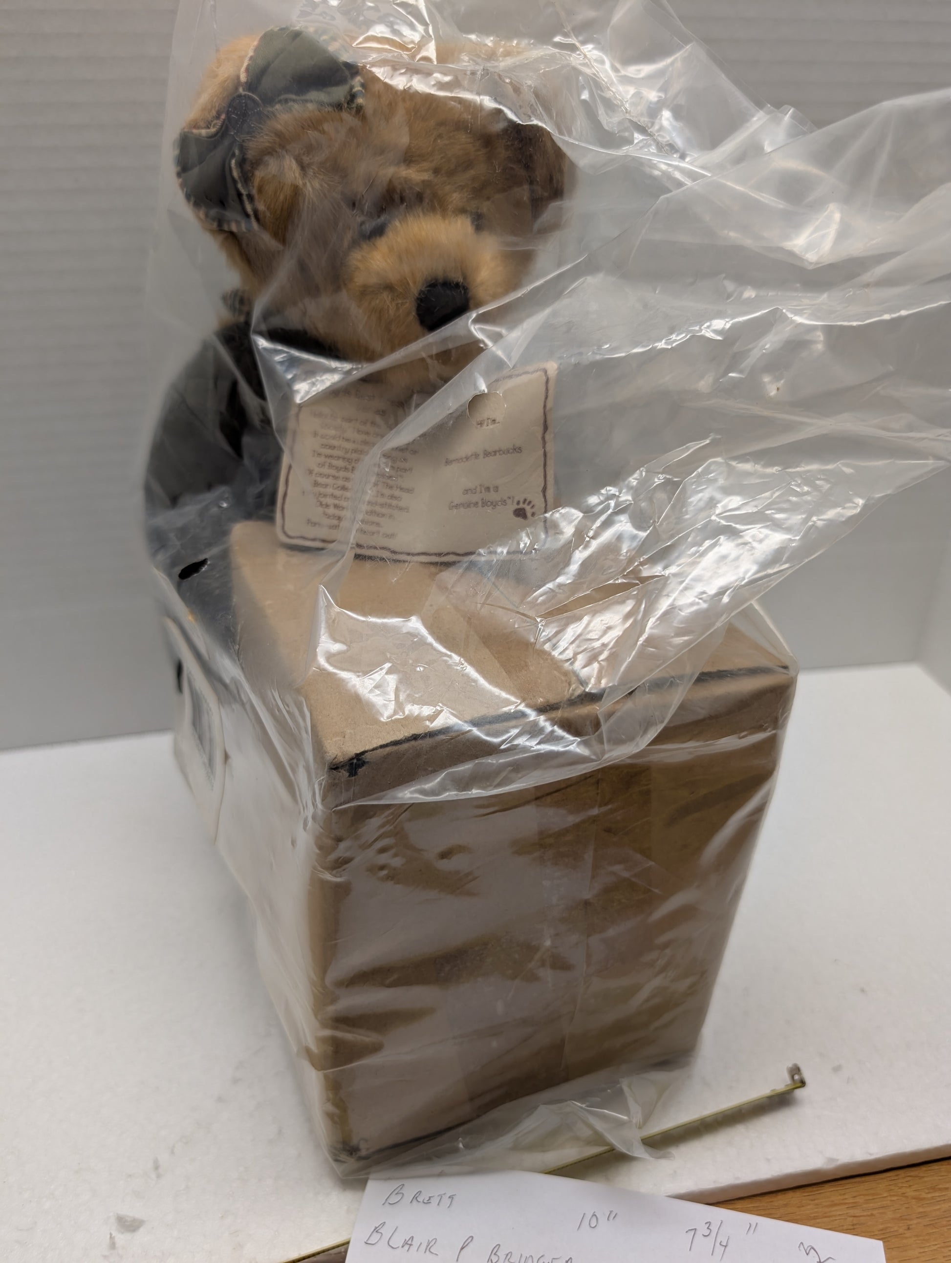 Boyds Bear Plush QVC 14 Bernadette Bearbucks & Piggy 99956V #C22621 QVC Ex image 0