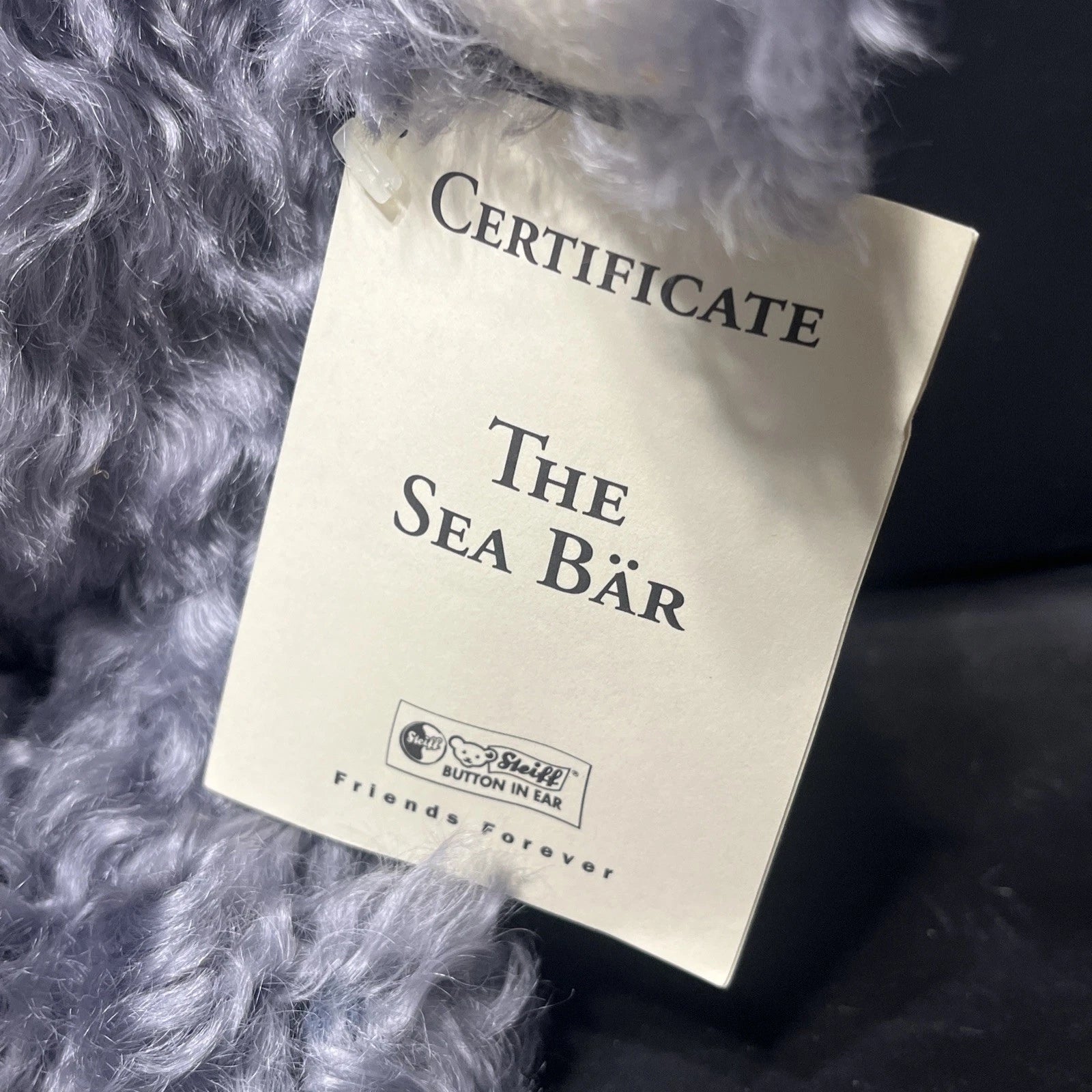 Steiff WDWC 1998 Bear The Sea Bar 651380 image 2