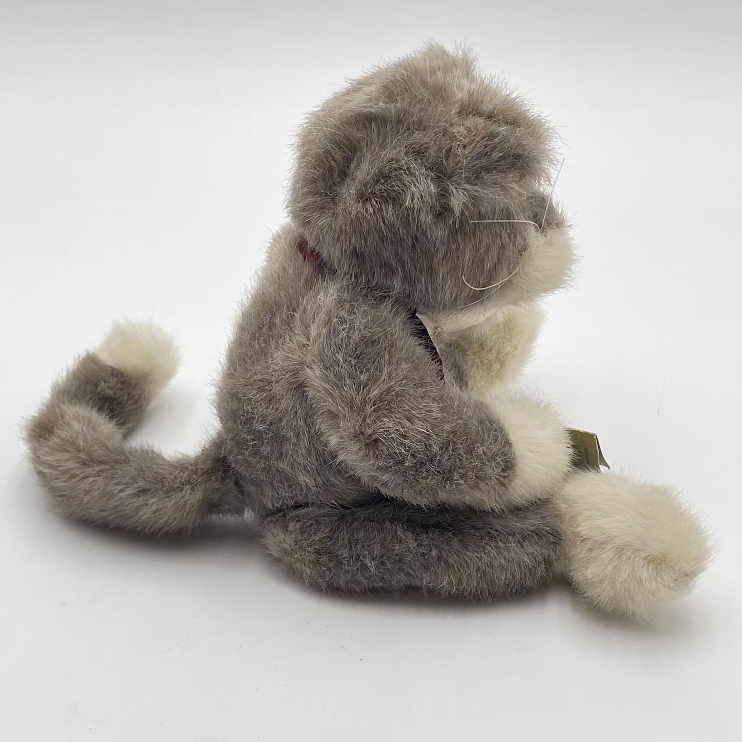 Boyds Cat Sweetpea Catberg  5307 image 1