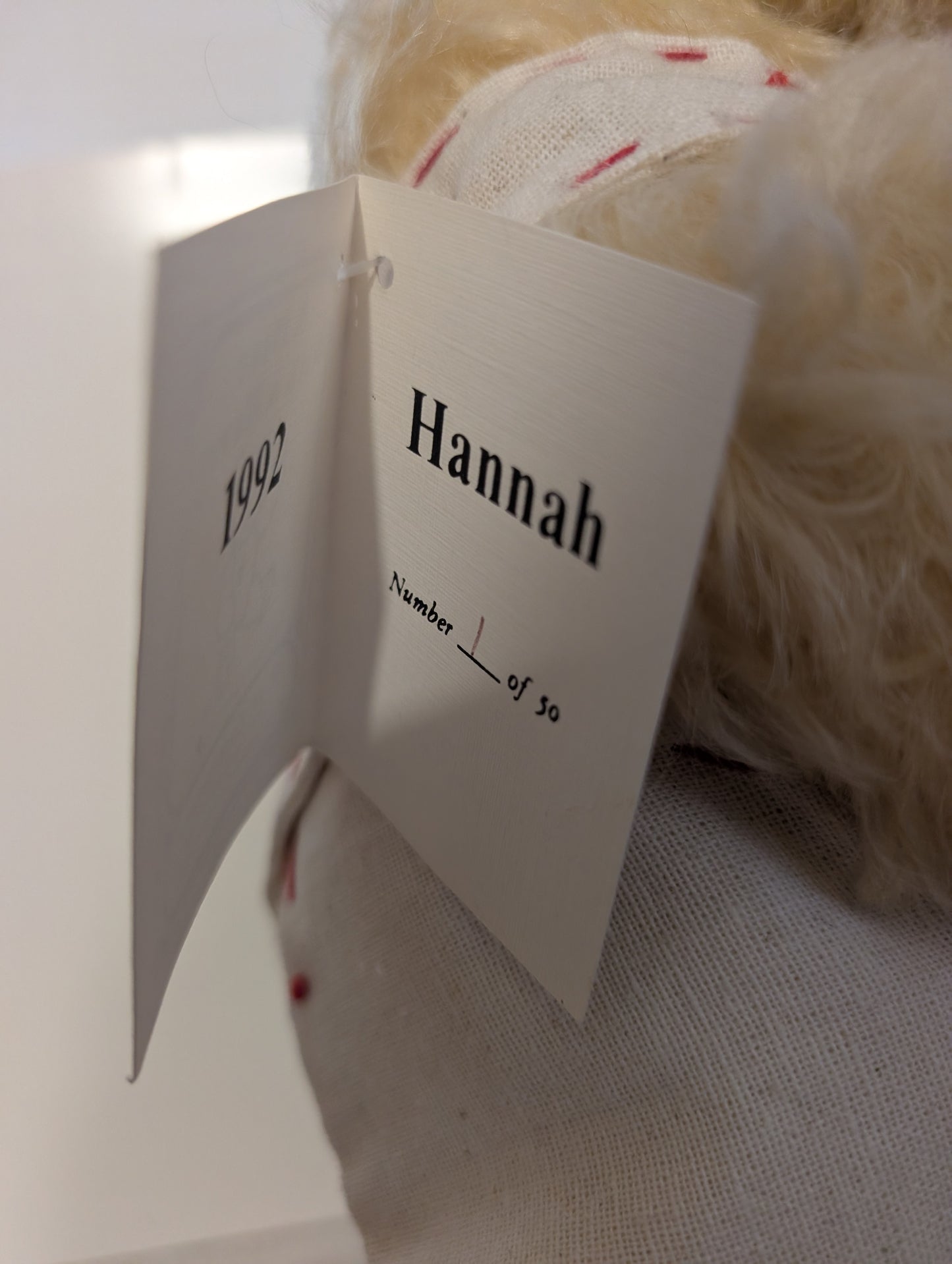Hannah by Diane Gard image 8