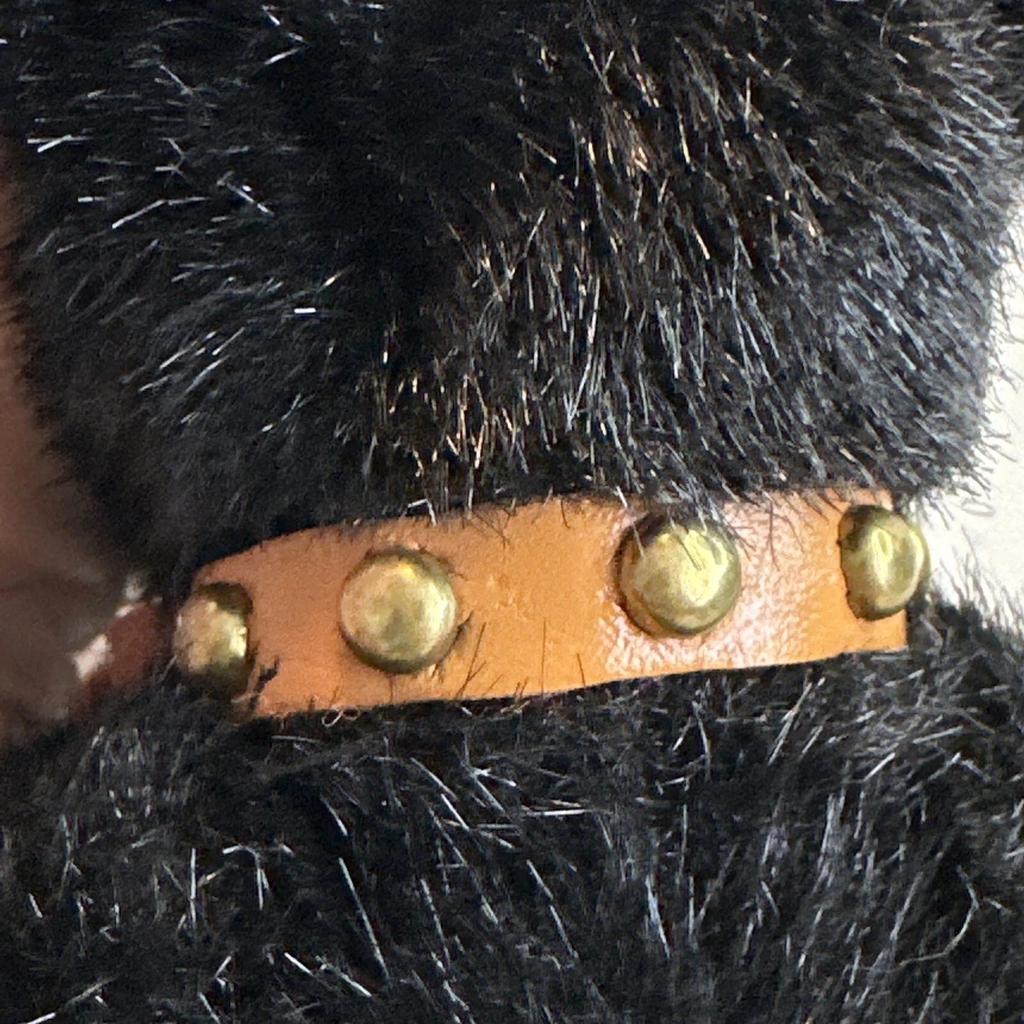 Boyds Bear Plush Blackstone w/collar  5840-07 image 2