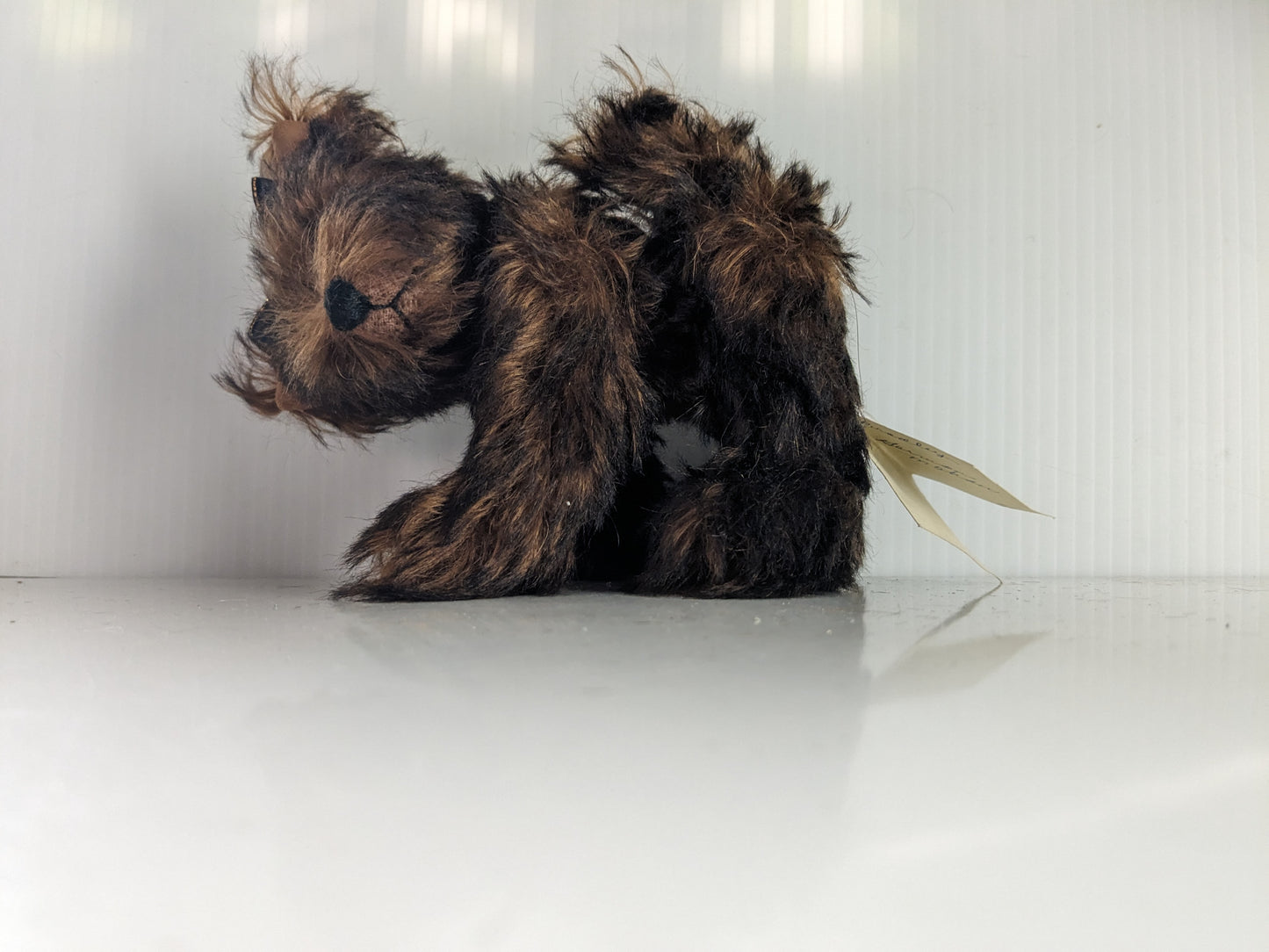 Bradley the Yorkie by Linda Nelson of Half Nelsons image 6