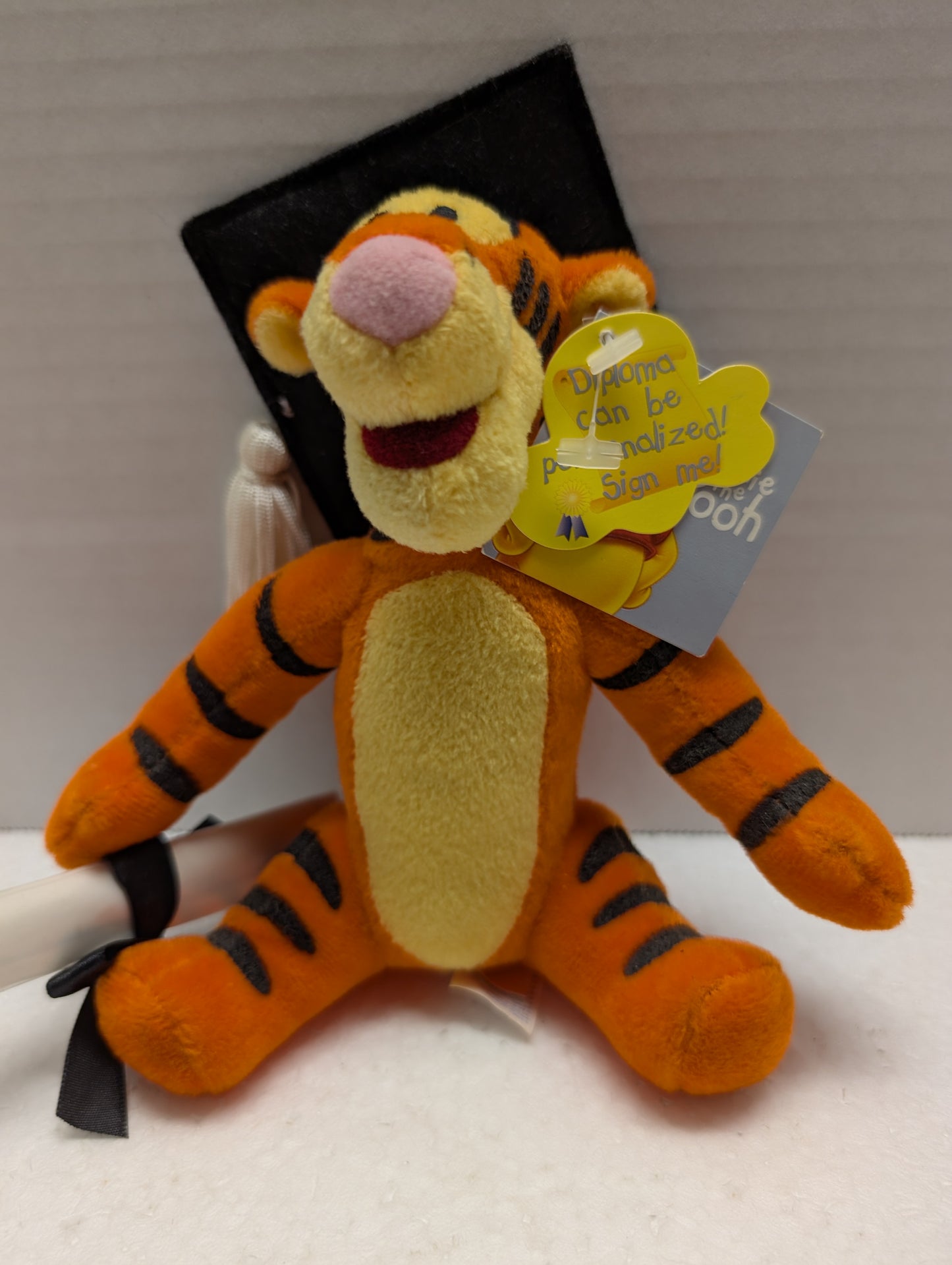 Disney Bean Bag Tigger Graduate image 0