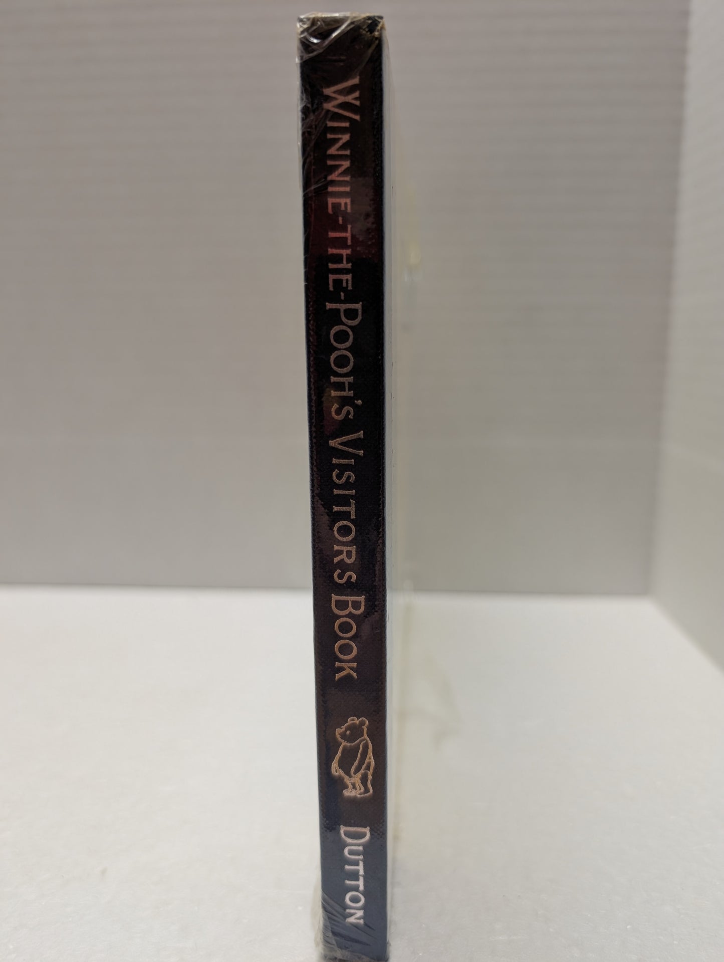 Book Winnie the Pooh Visitor's Book [Hardcover] Milne, A. A. image 2