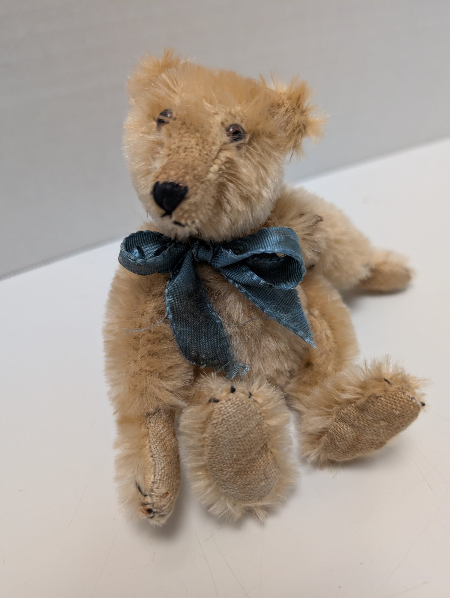 Pyschny Bear by Bear Ferdinand image 0