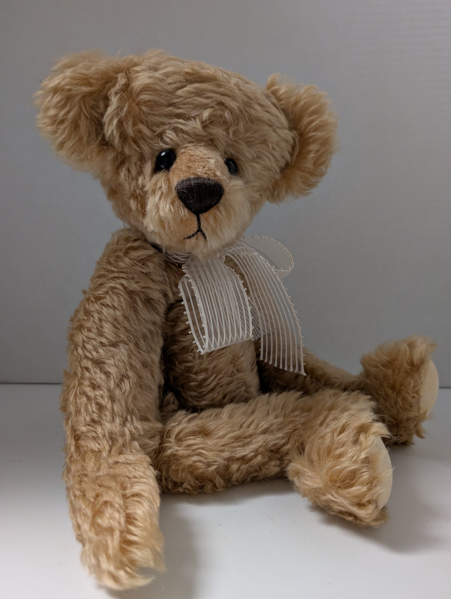 Bearly One  By Gloria Franks image 0