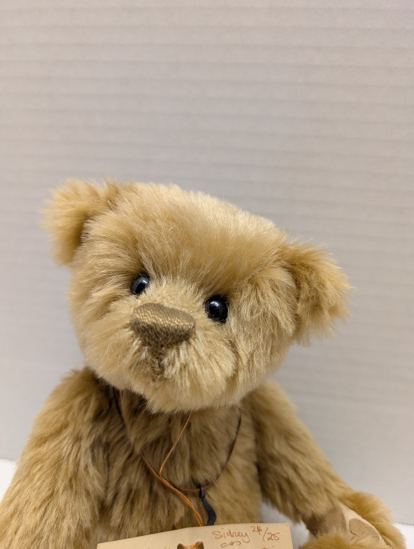 Artist Jennifer Laing  of Totally Bear  Handmade 12" Sidney image 4