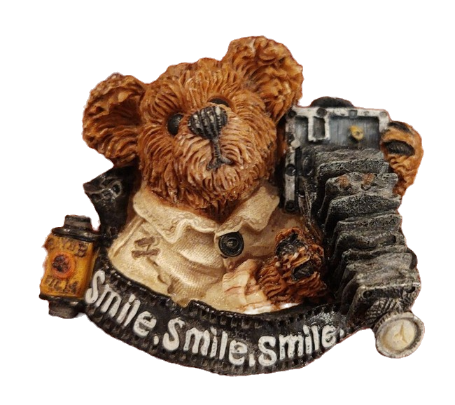Boyds Pin Bearwear Flash McBear Smile, Smile, Smile  Pin #26061 Camera image 0
