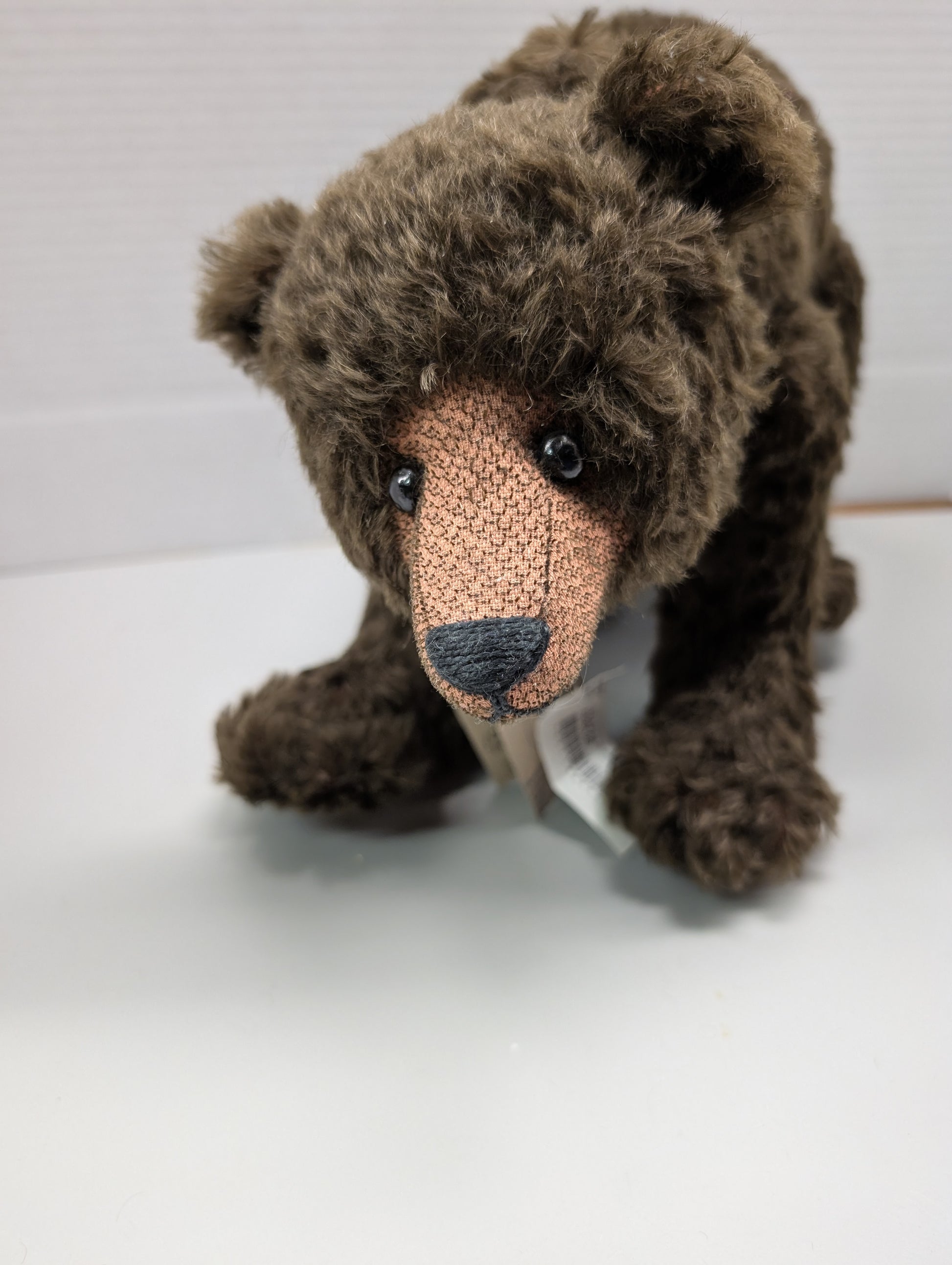 Artist BearEsence Designer Steve Schutt Bear on All 4's Timber image 4