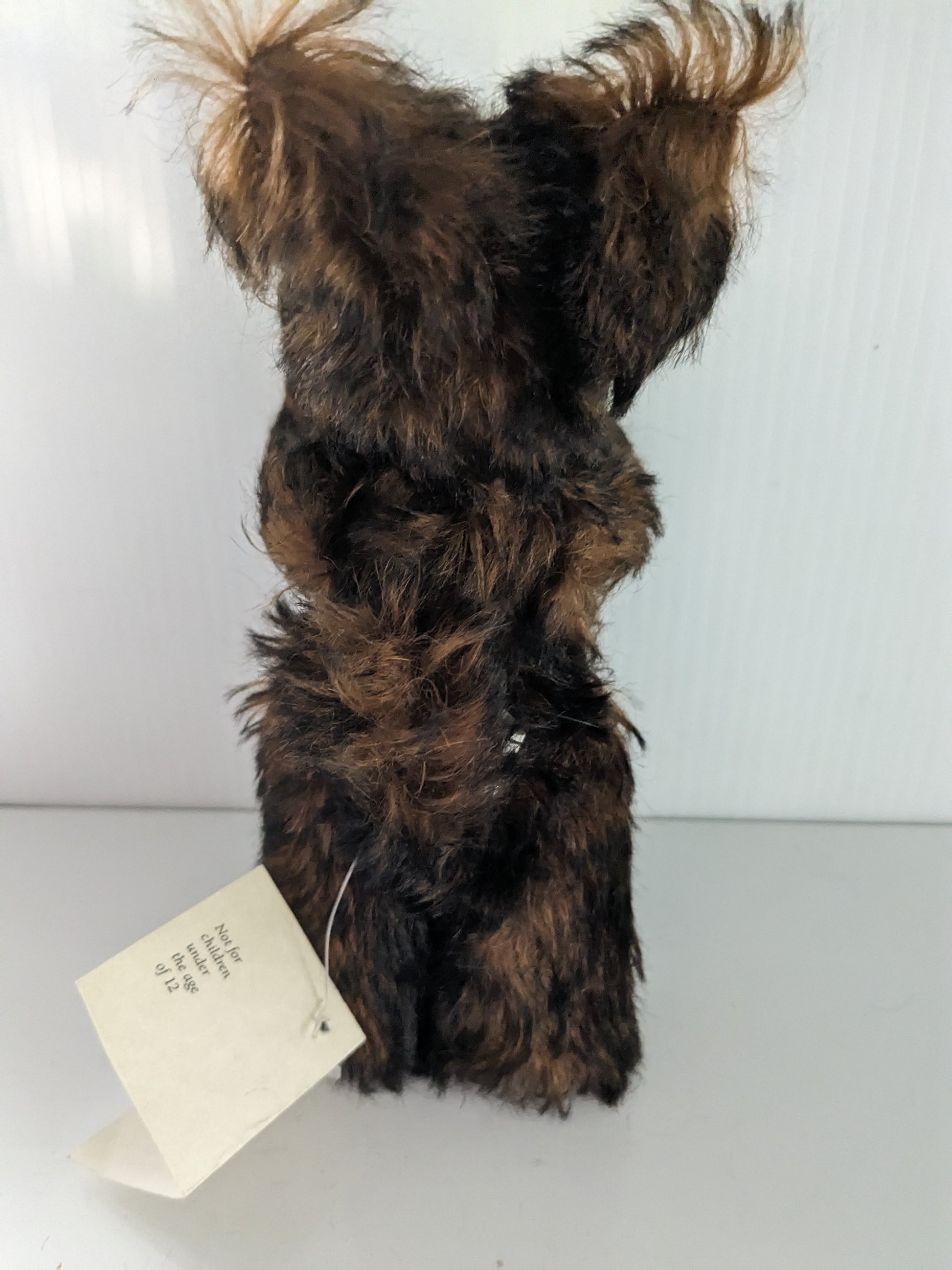 Bradley the Yorkie by Linda Nelson of Half Nelsons image 3
