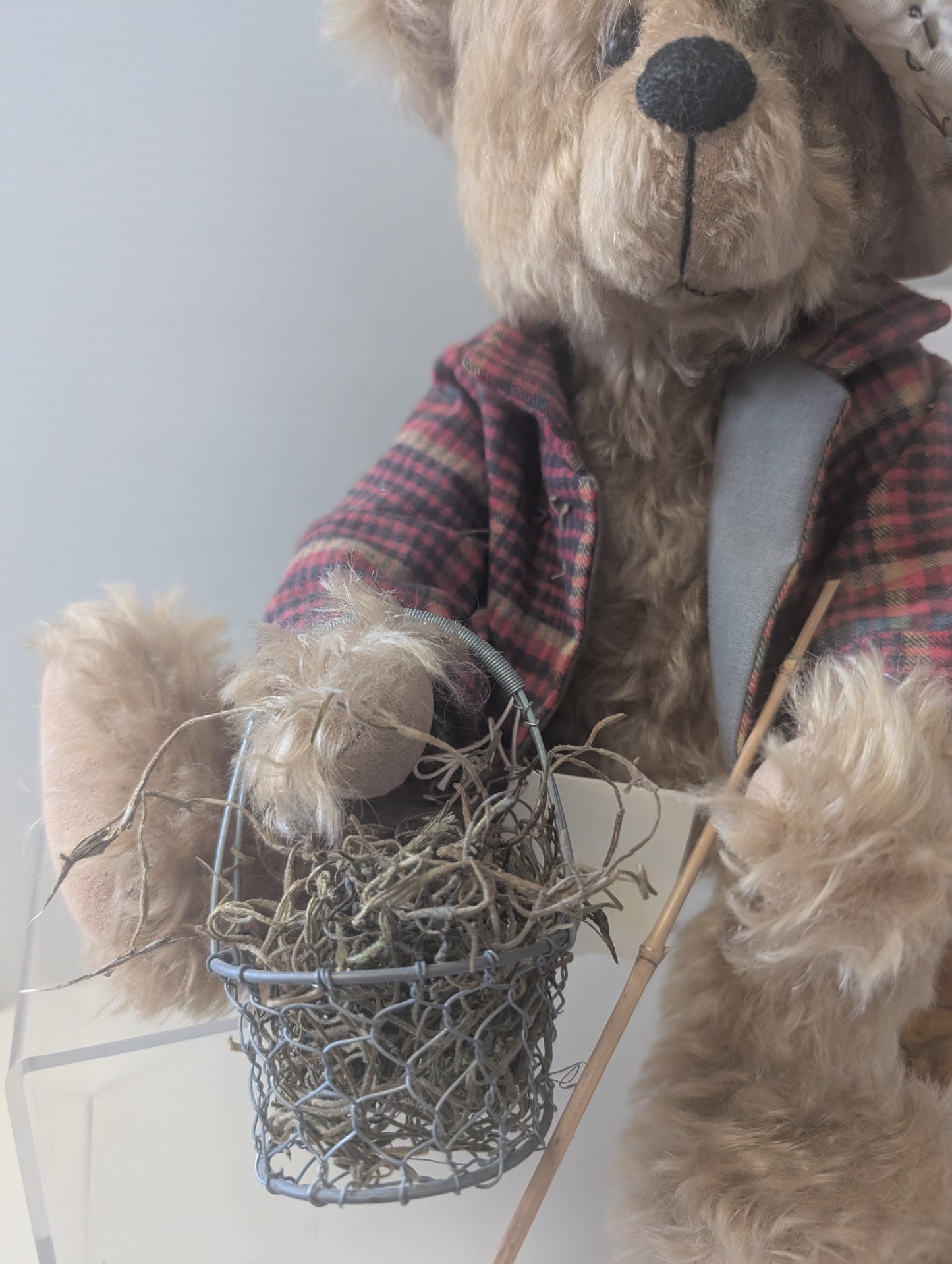 Grady By Barbara Sixby image 2