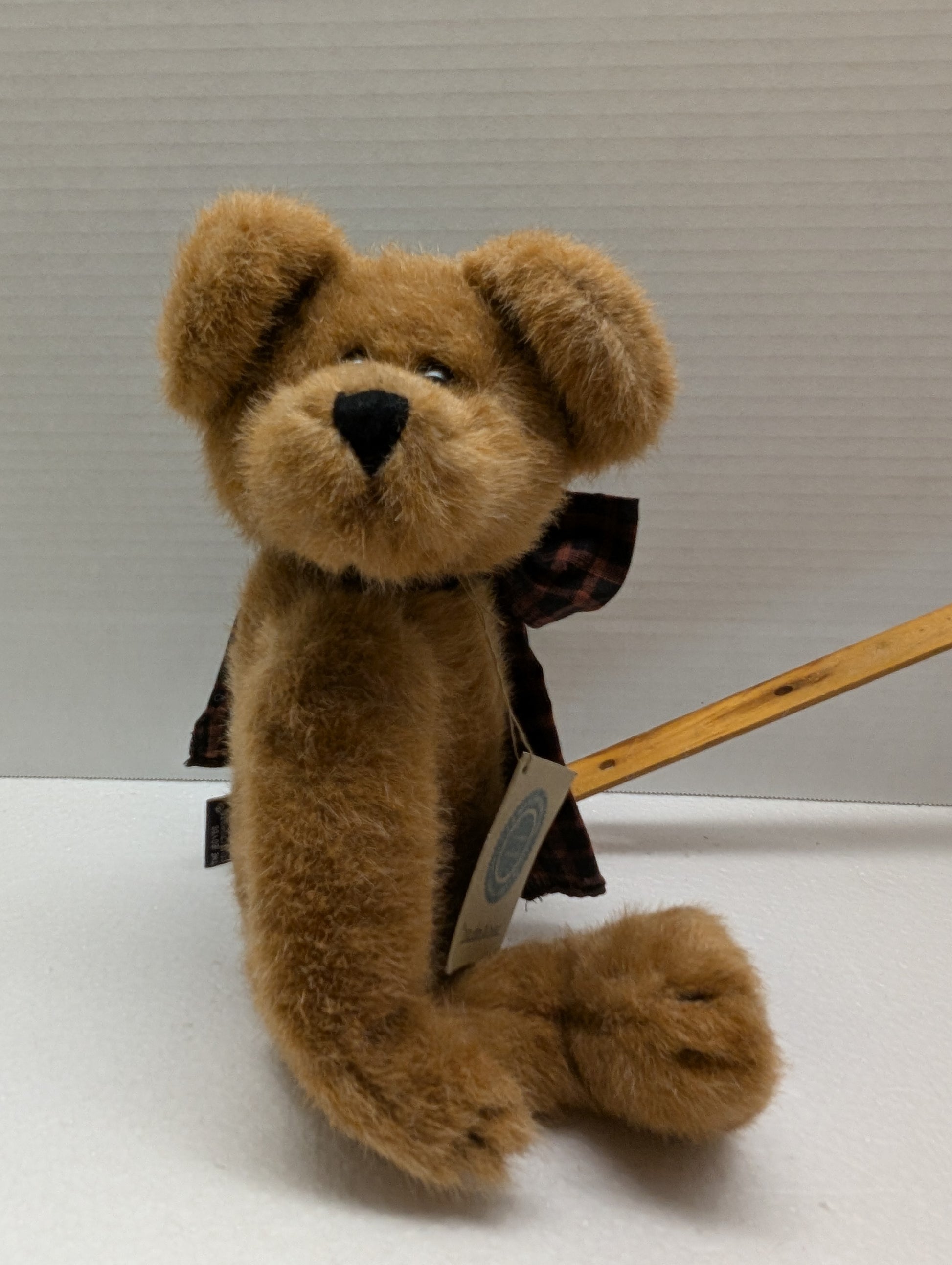 Boyds Bear Plush Abbott Q Beanster  510406 image 2