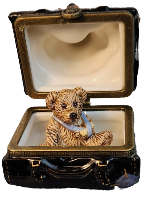 Boyds Le Bearmoge Collection  Dr. Harrison Griz 392011 image 1