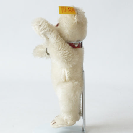 Steiff Miniature Teddy Baby white 16cm  1930 rep 029622 image 4