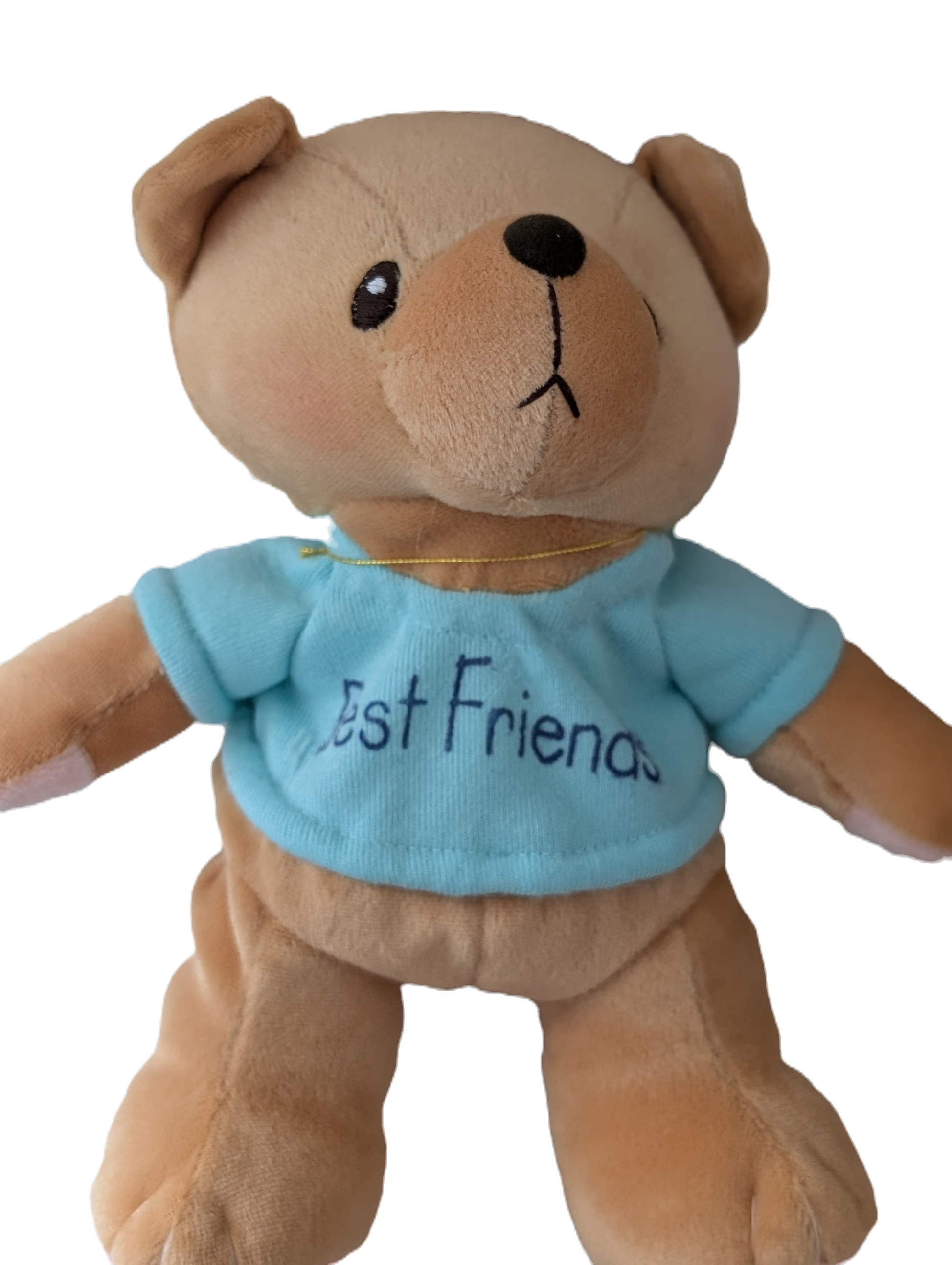 Cherished Teddies Bear Best Friends Green Tshirt 505374 image 0