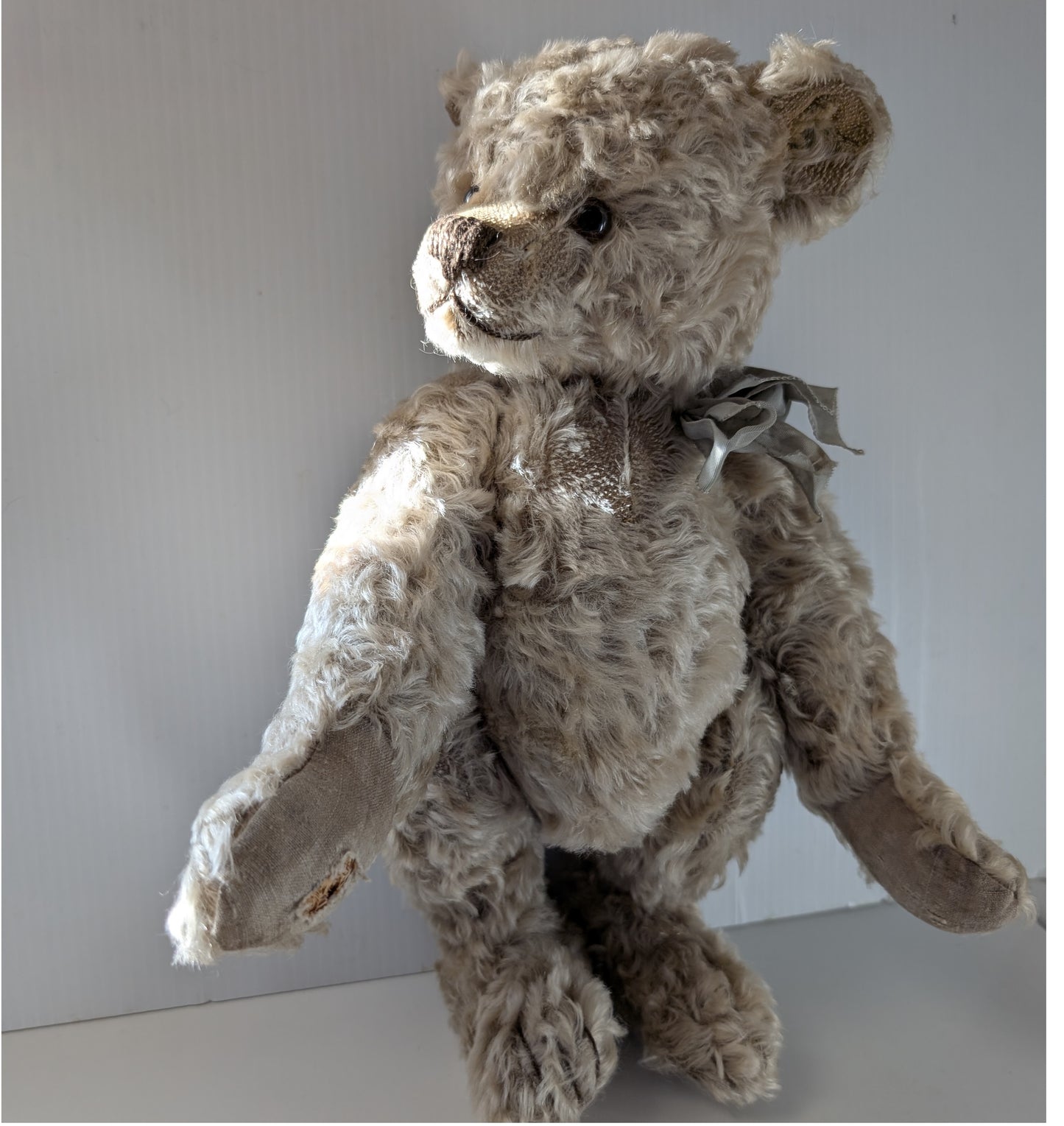 Pyschny Bear by Bear Otto image 1
