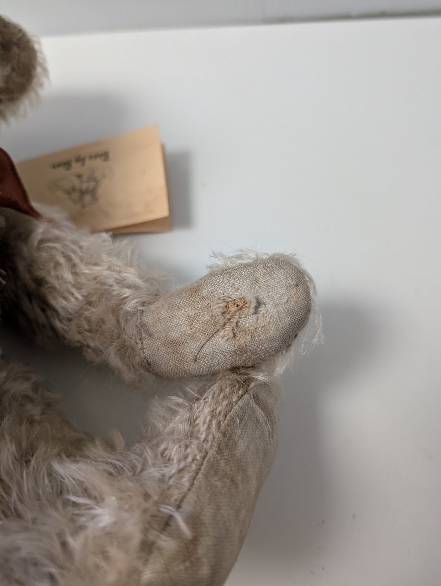 Pyschny Bear by Bear Felix image 9
