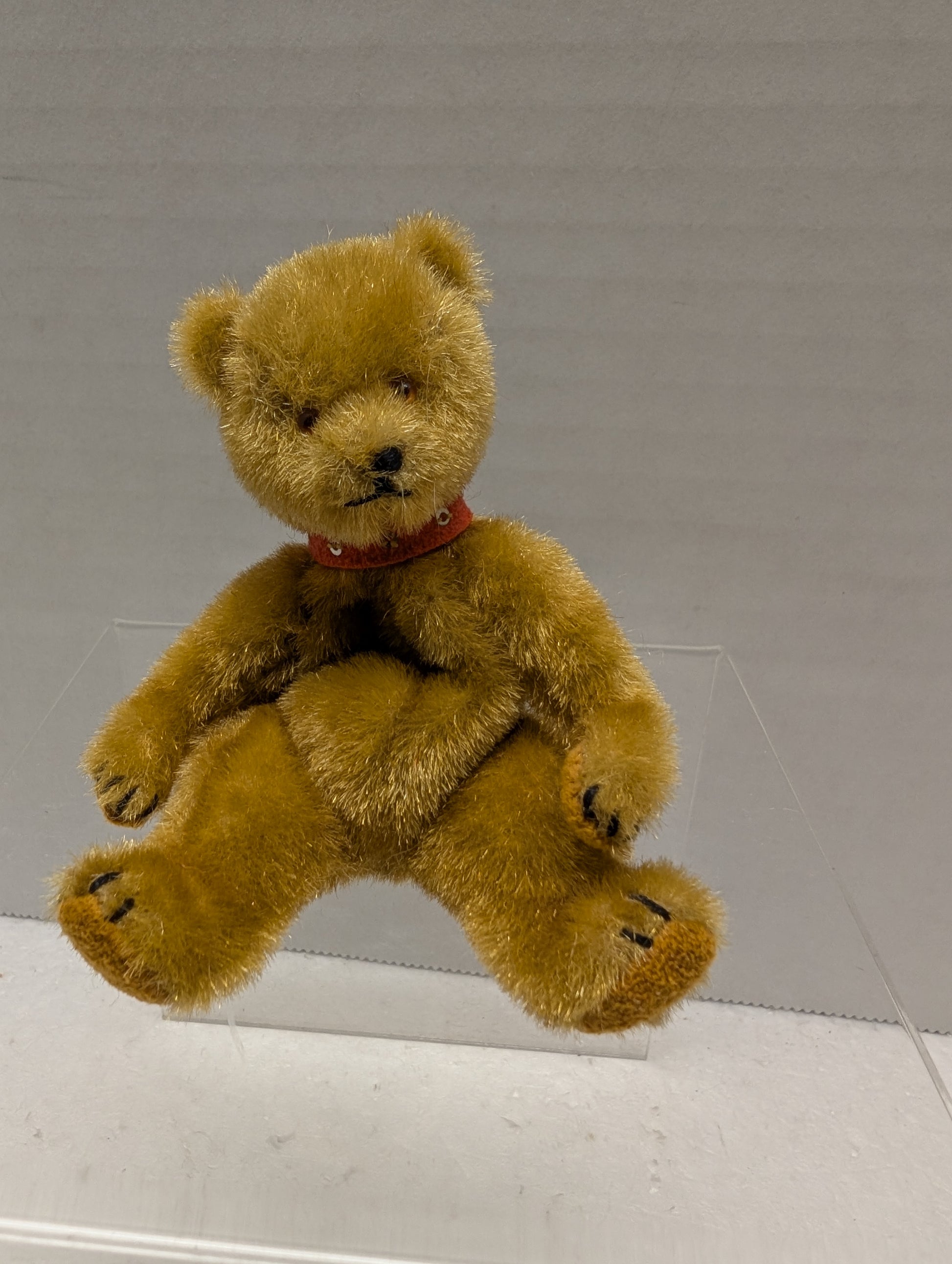 Bucky By Dickie Harrison image 2