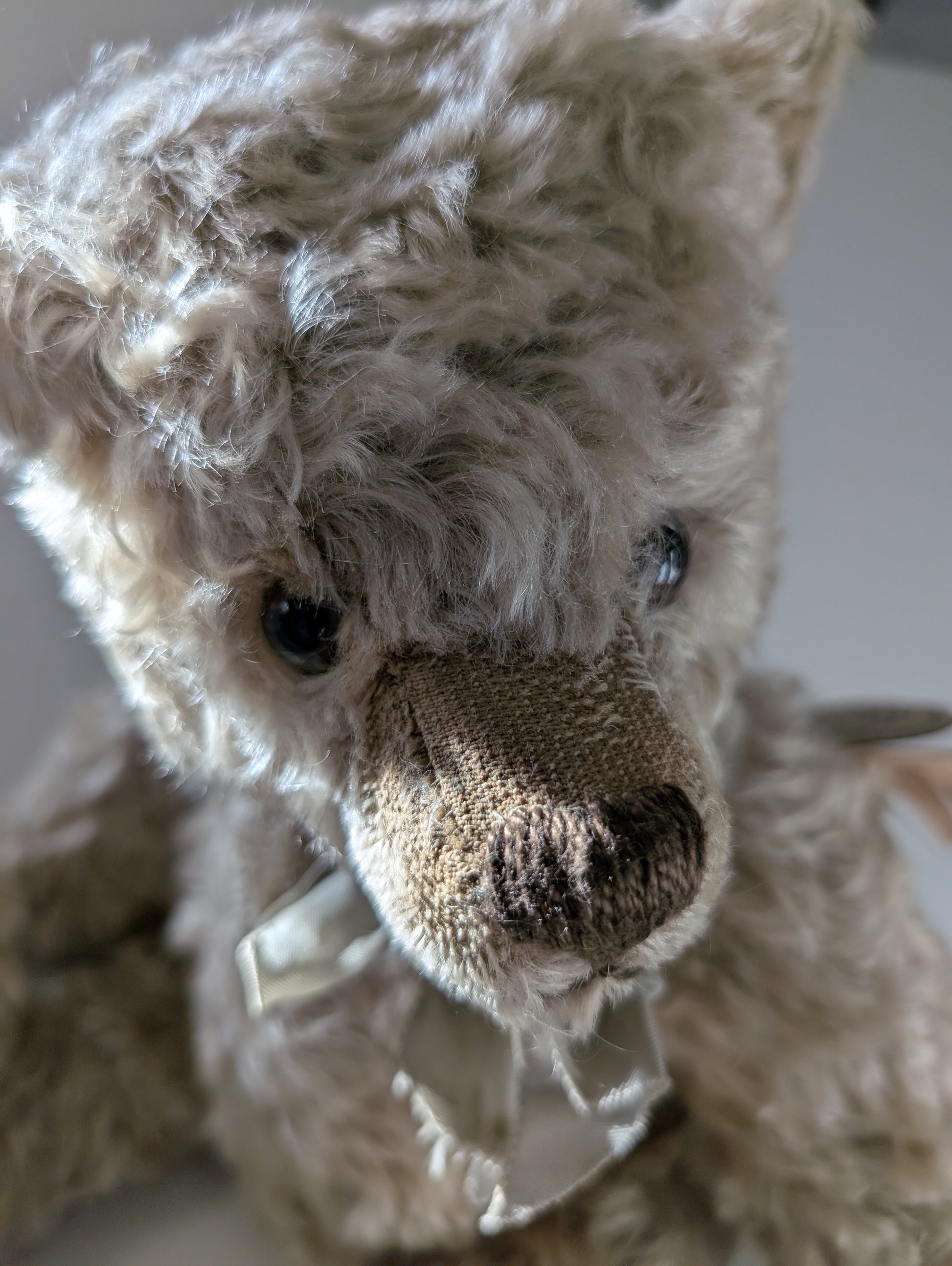 Pyschny Bear by Bear Otto image 5