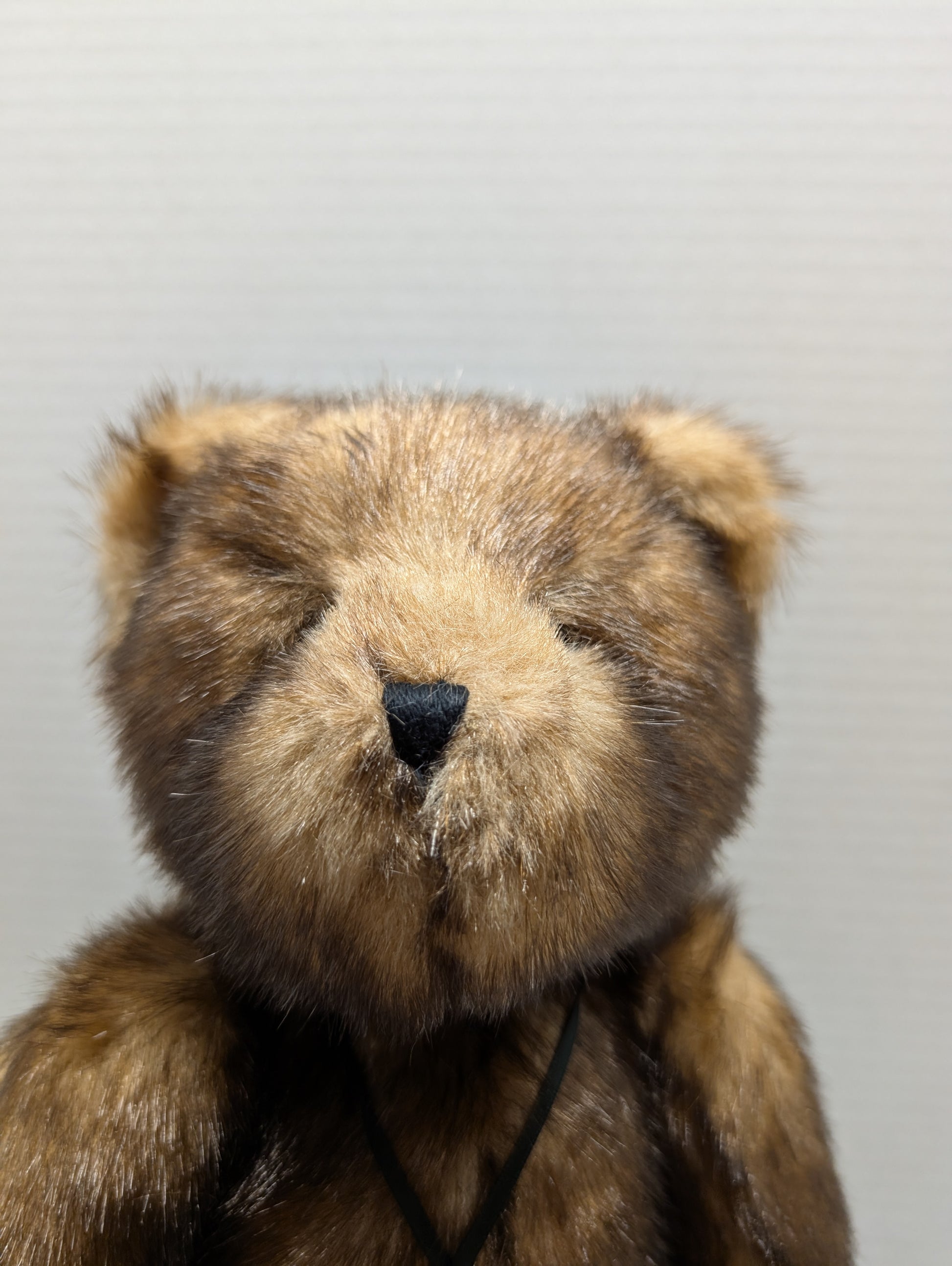 Boyds Bear Plush  Bea Goodfriend Tipped 02006-90 image 4
