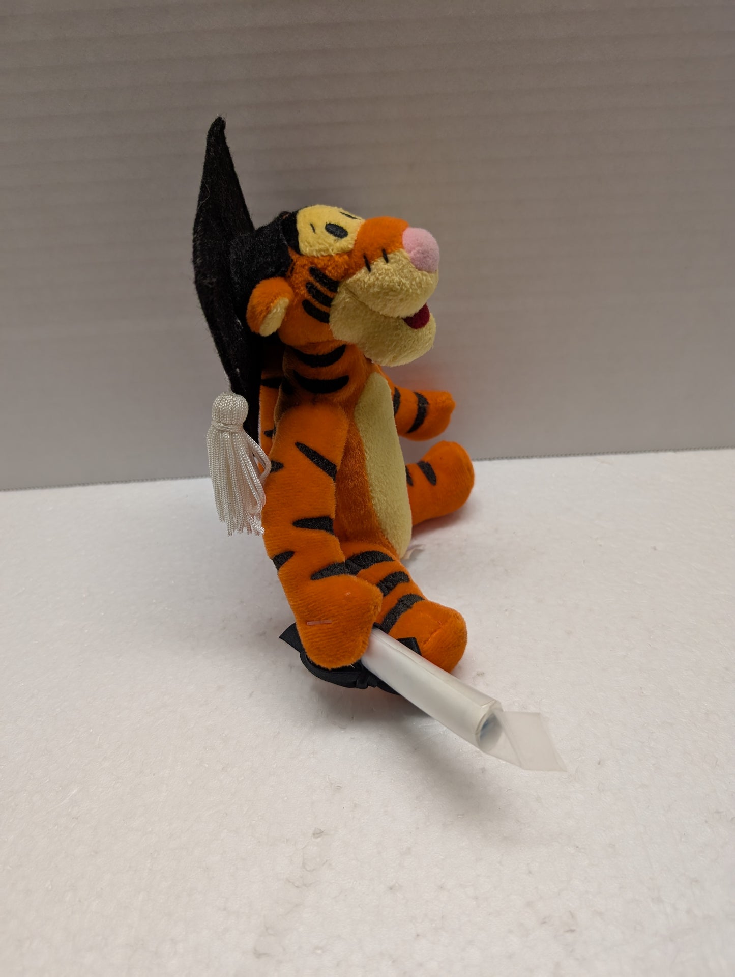 Disney Bean Bag Tigger Graduate image 1