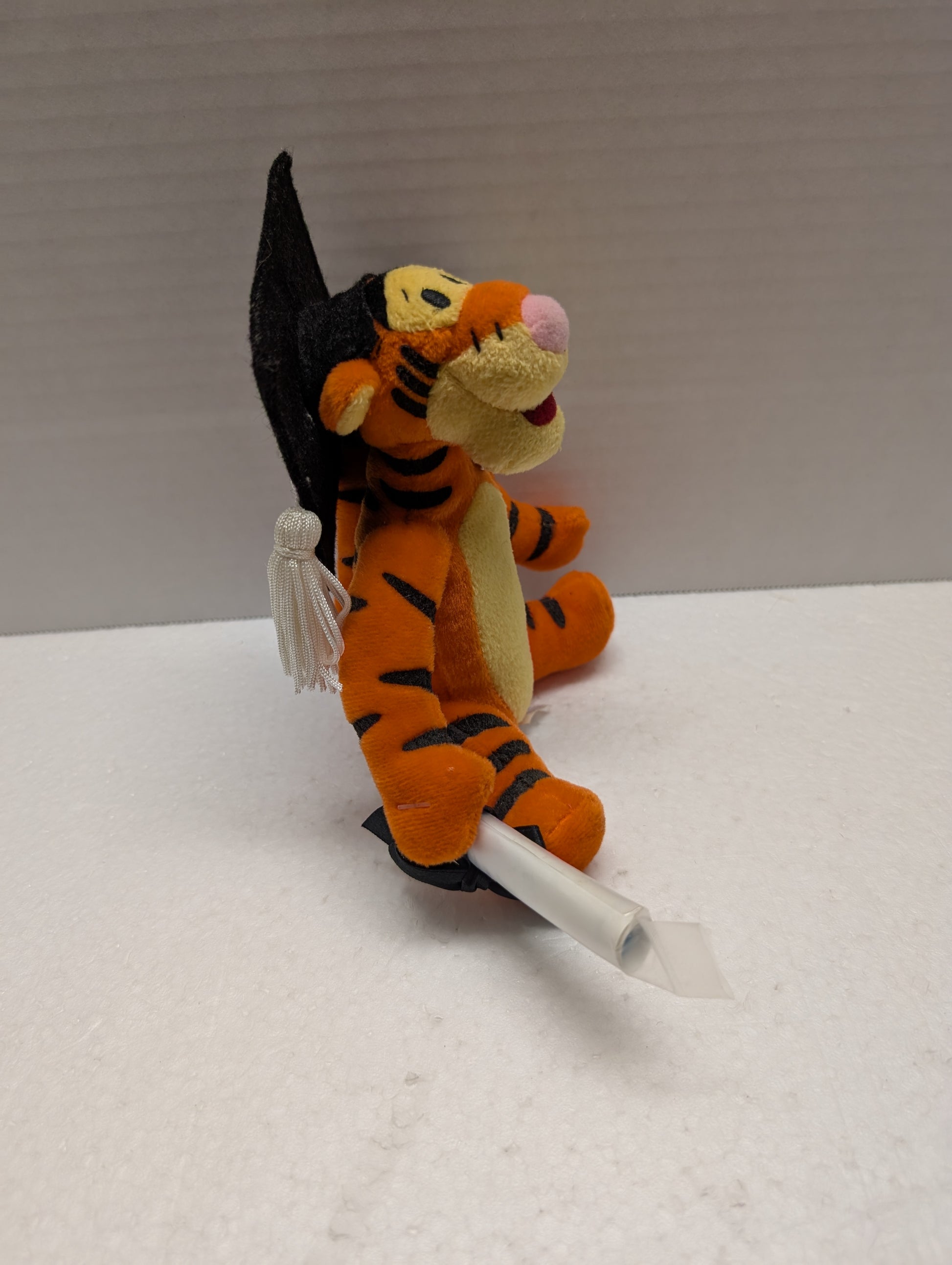 Disney Bean Bag Tigger Graduate image 1