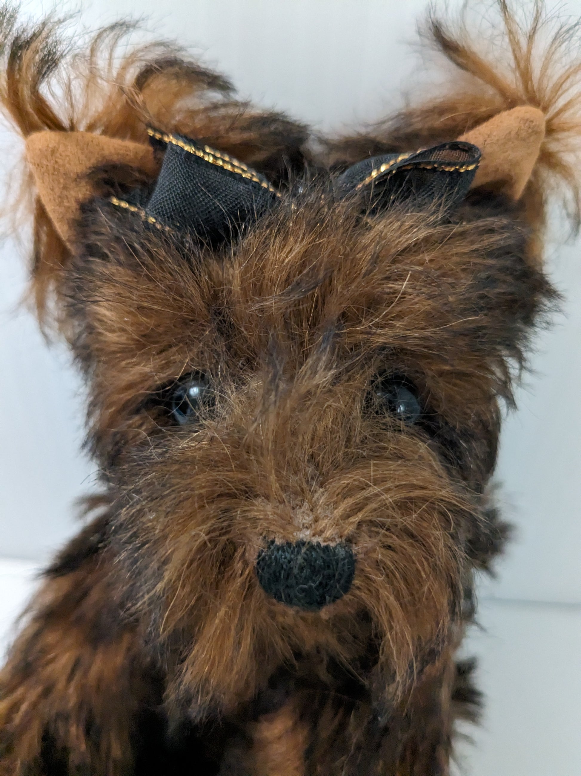 Bradley the Yorkie by Linda Nelson of Half Nelsons image 11