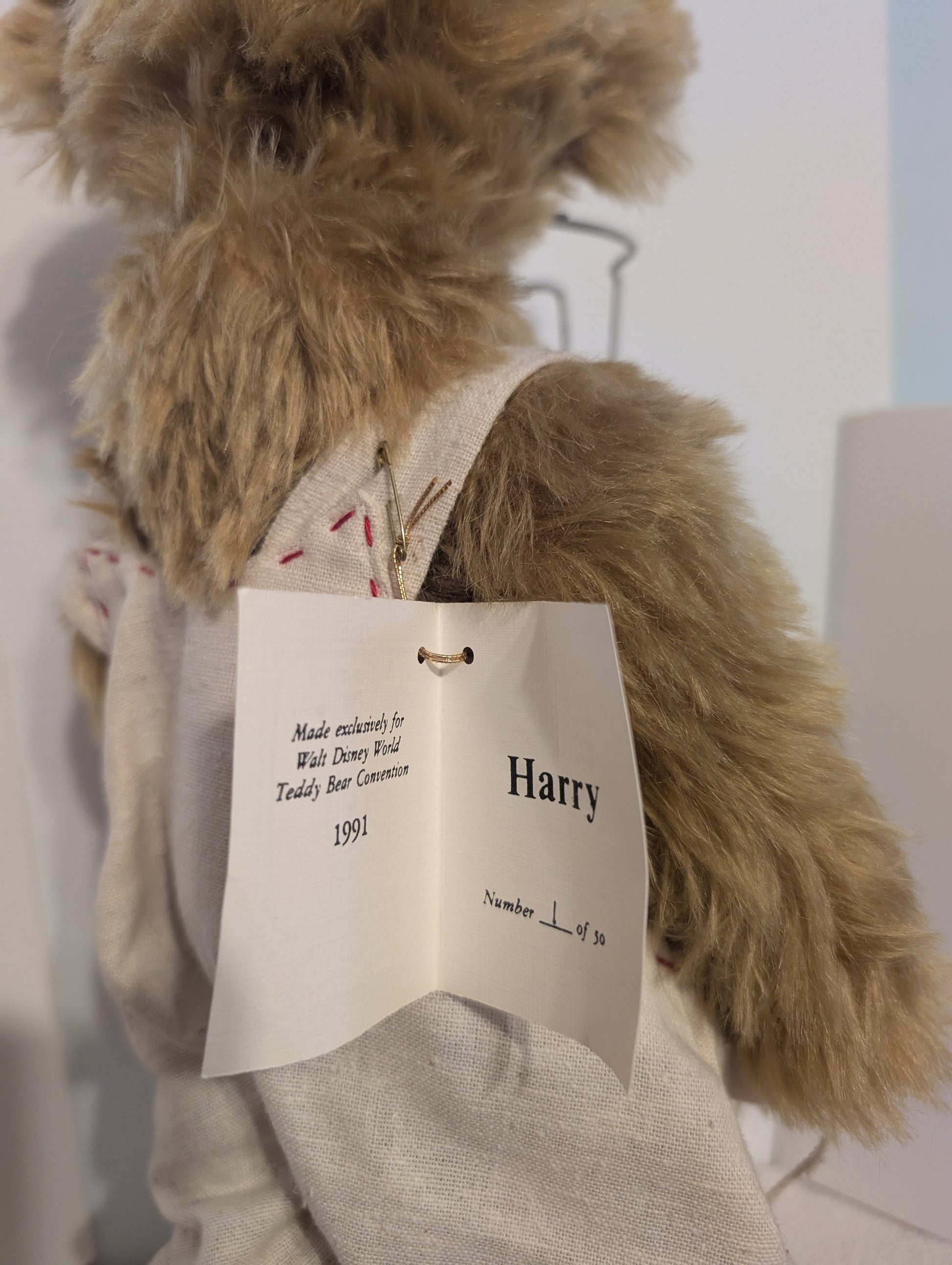 Harry By Diane Gard image 6