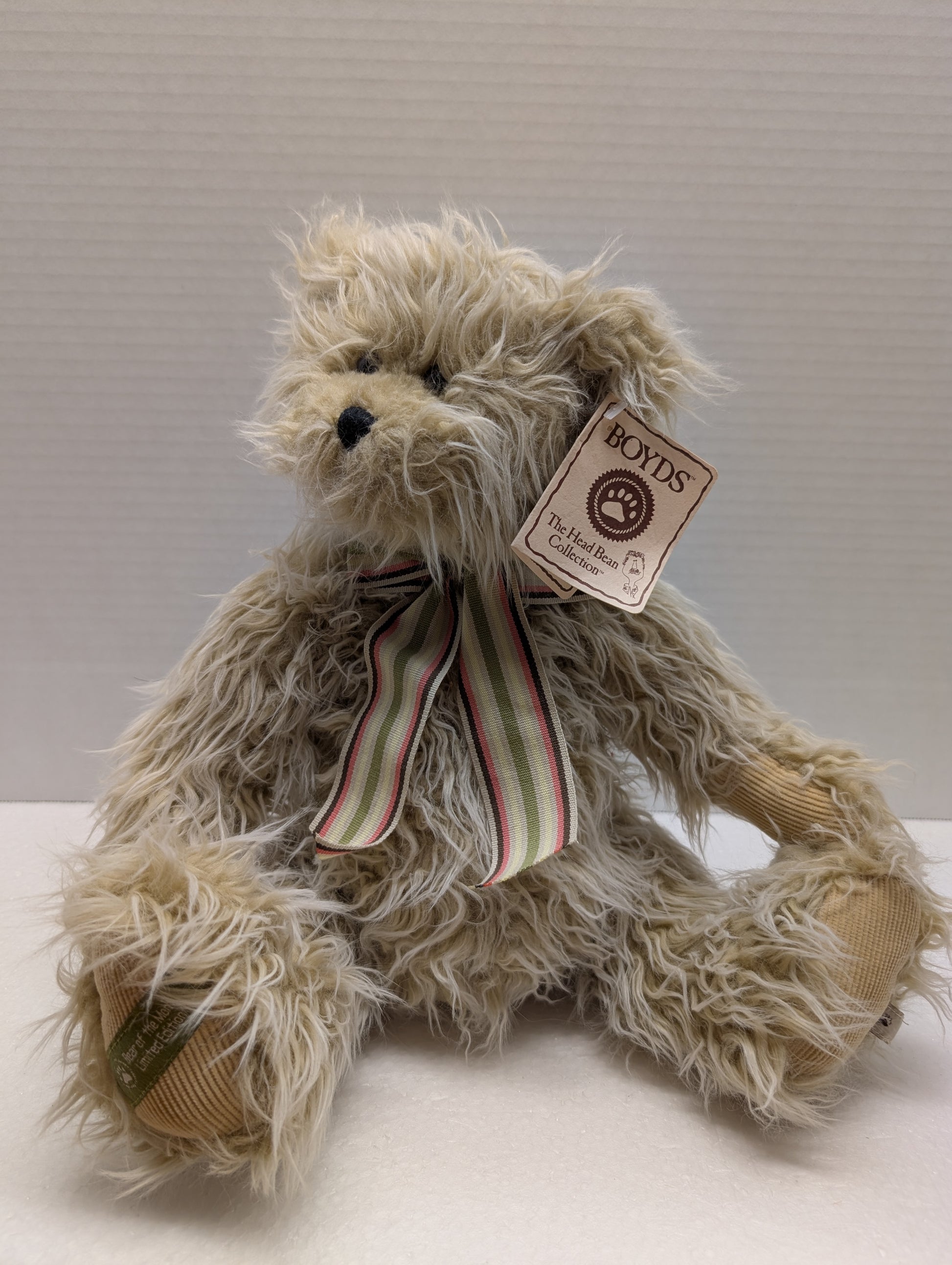 Boyds Bear Plush Brian Q. Fuzzworth  16" #919861 image 4