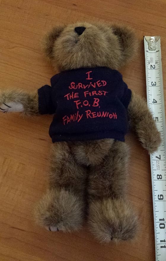 Boyds Bear Plush  Bear Lee Survivedit FOB   2001-85 image 0