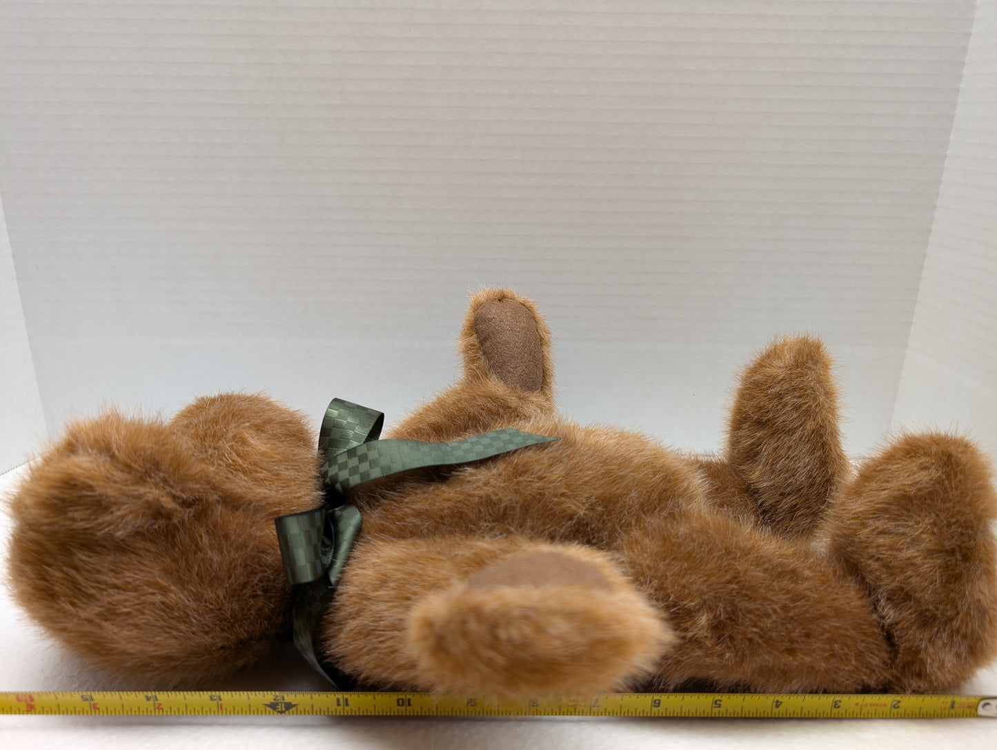 Boyds Bear Plush Abbott Q Beanster  510406 image 1